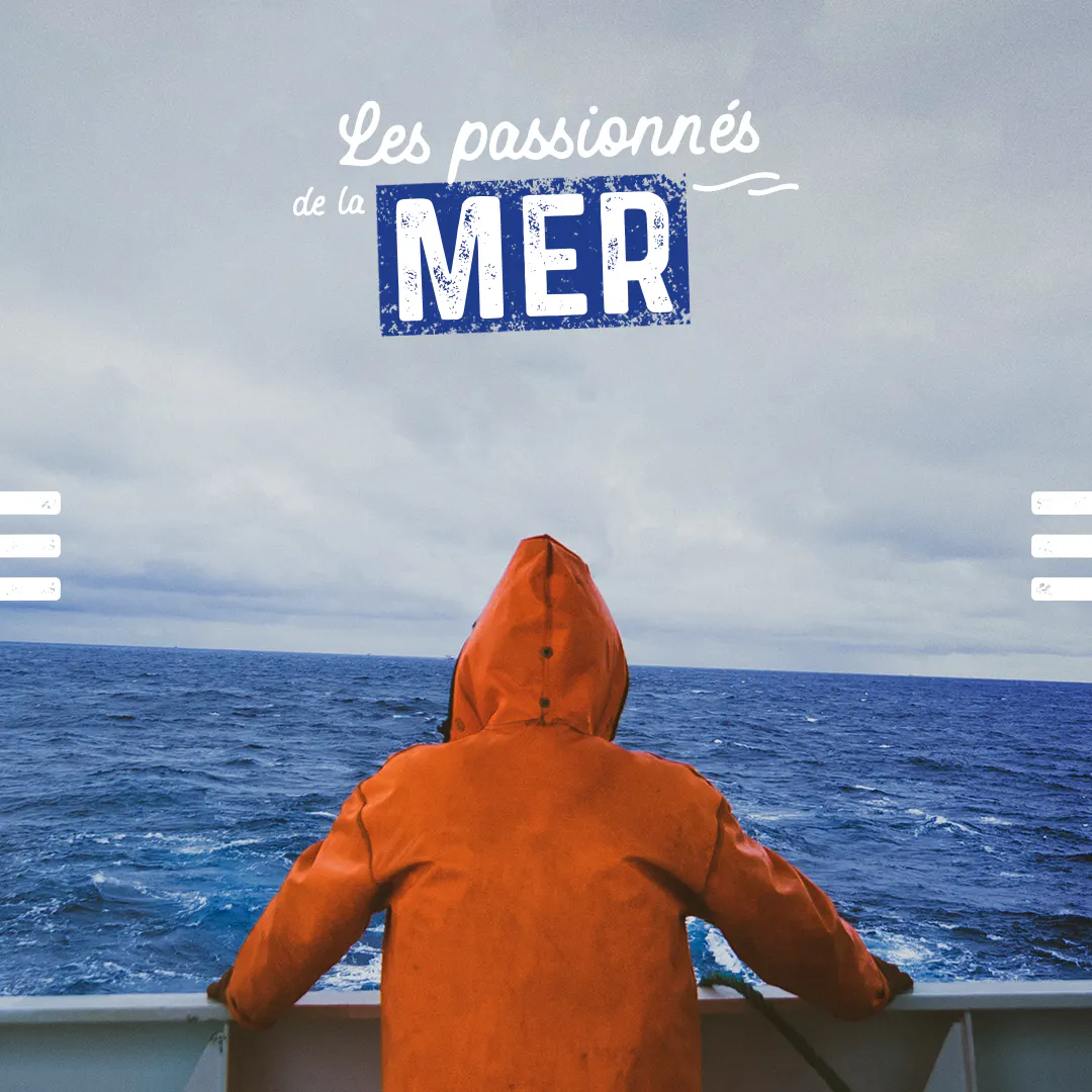 Image non disponible