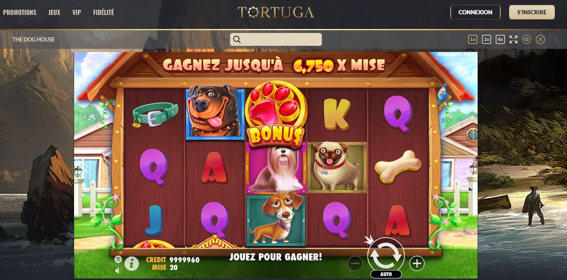 free games dog house