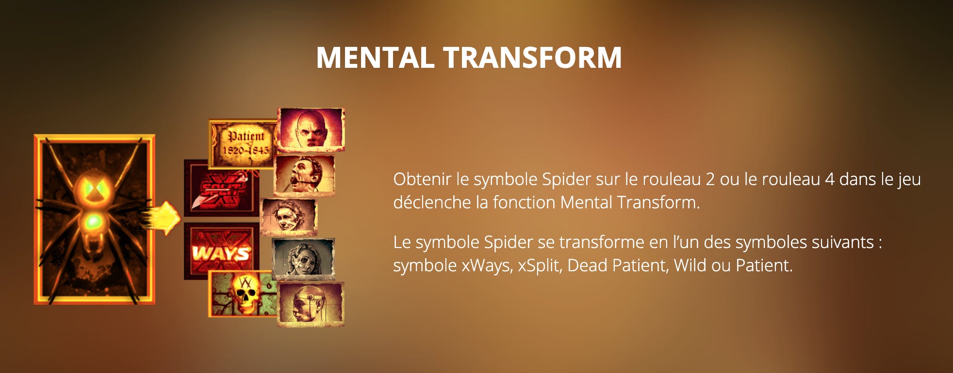 Mental transform