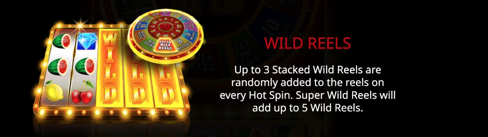 wild reels