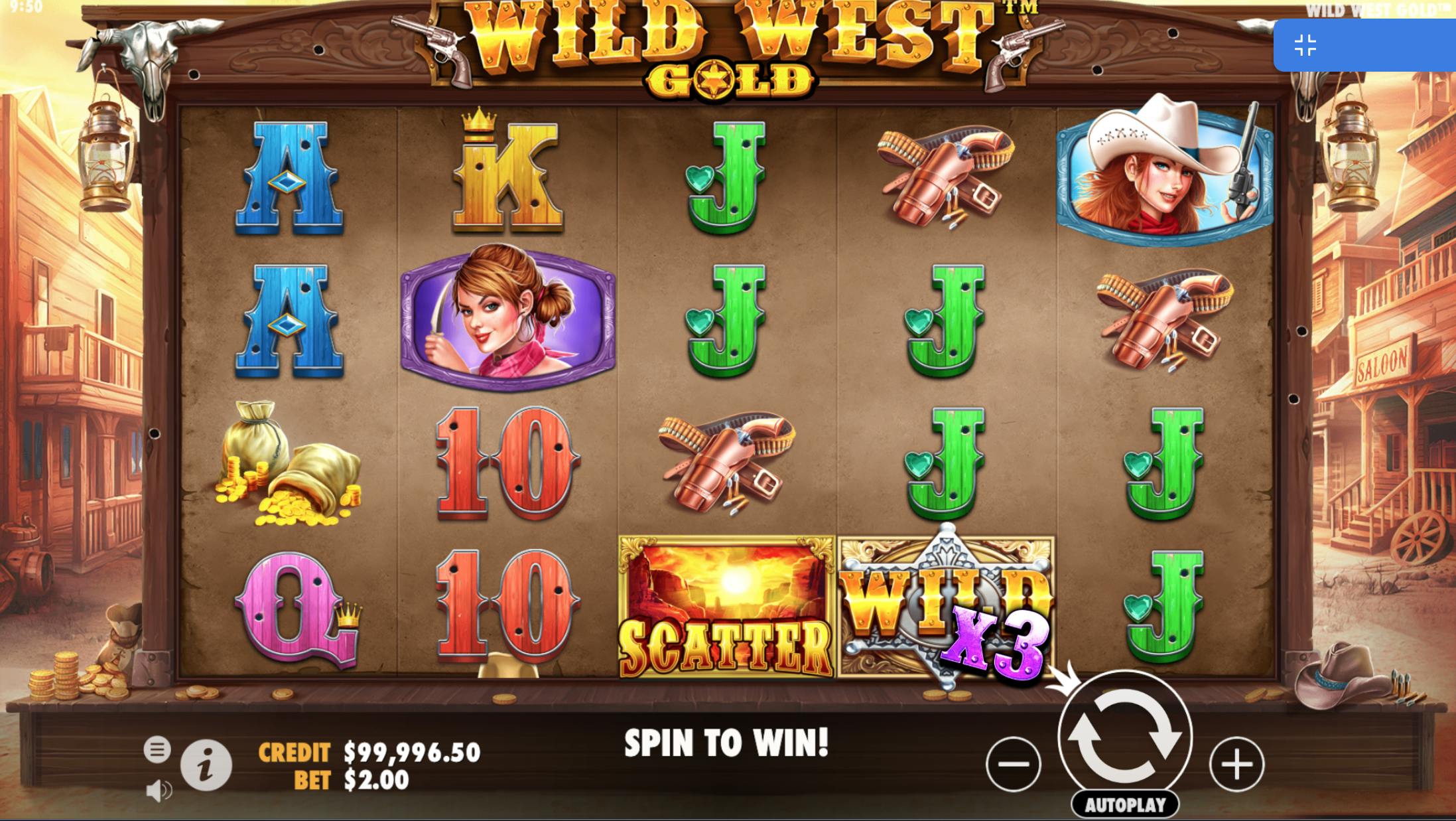 symbole wild