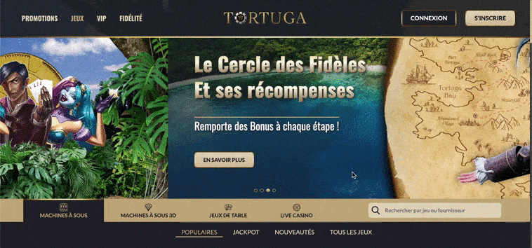 page accueil tortuga