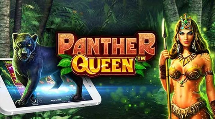 slot panther queen pragmatic play