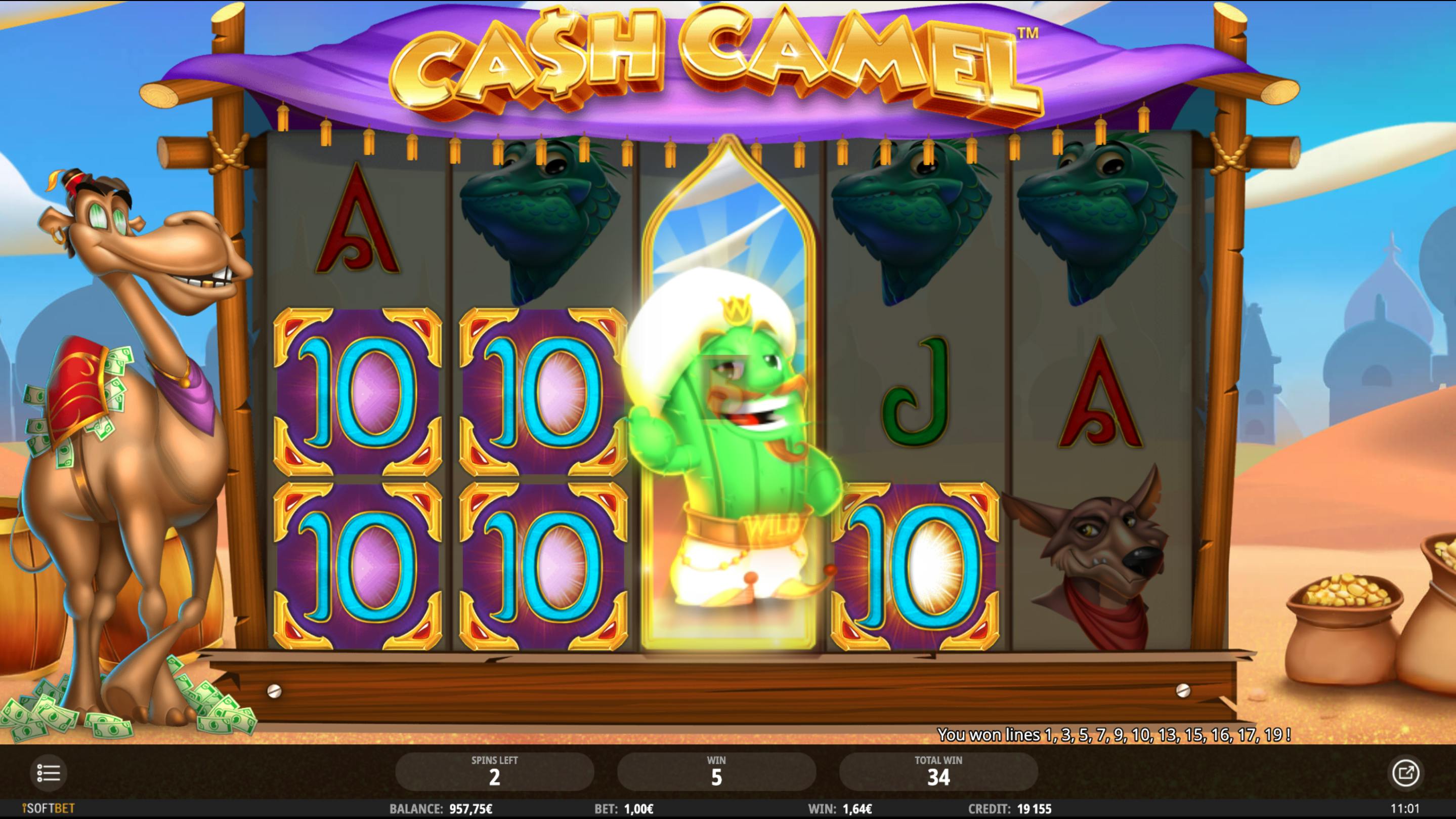 bonus wild wally cactus cash camel