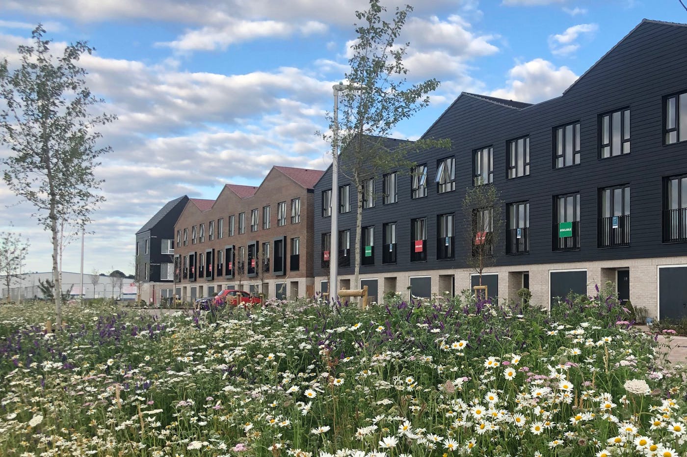 Housing and soft landscape at Rochester Riverside