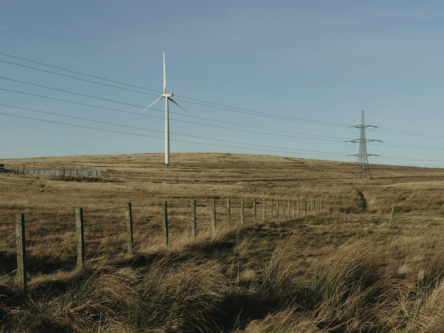 Wind turbine and pylon