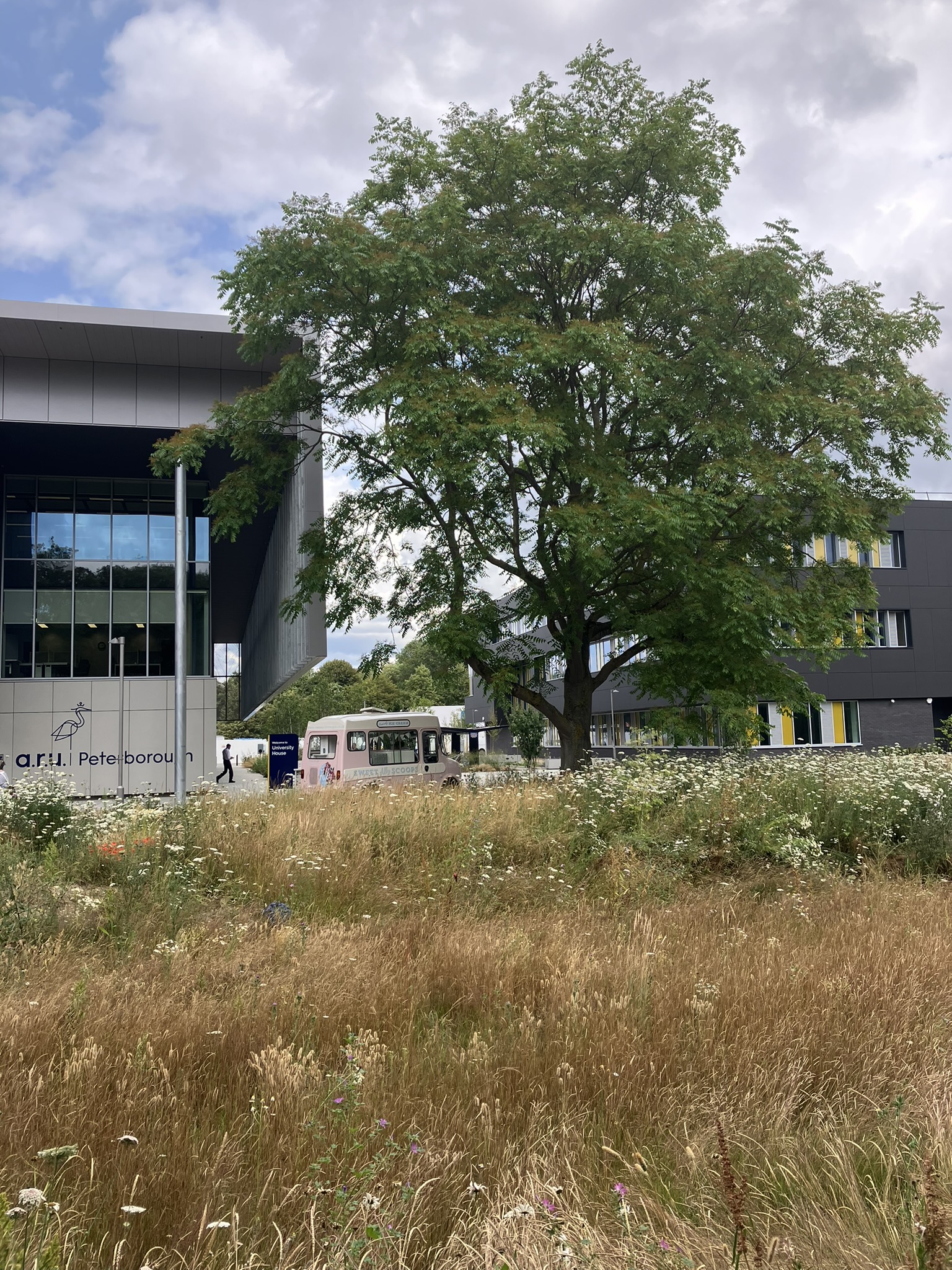 Anglia Ruskin University (ARU) in Peterborough