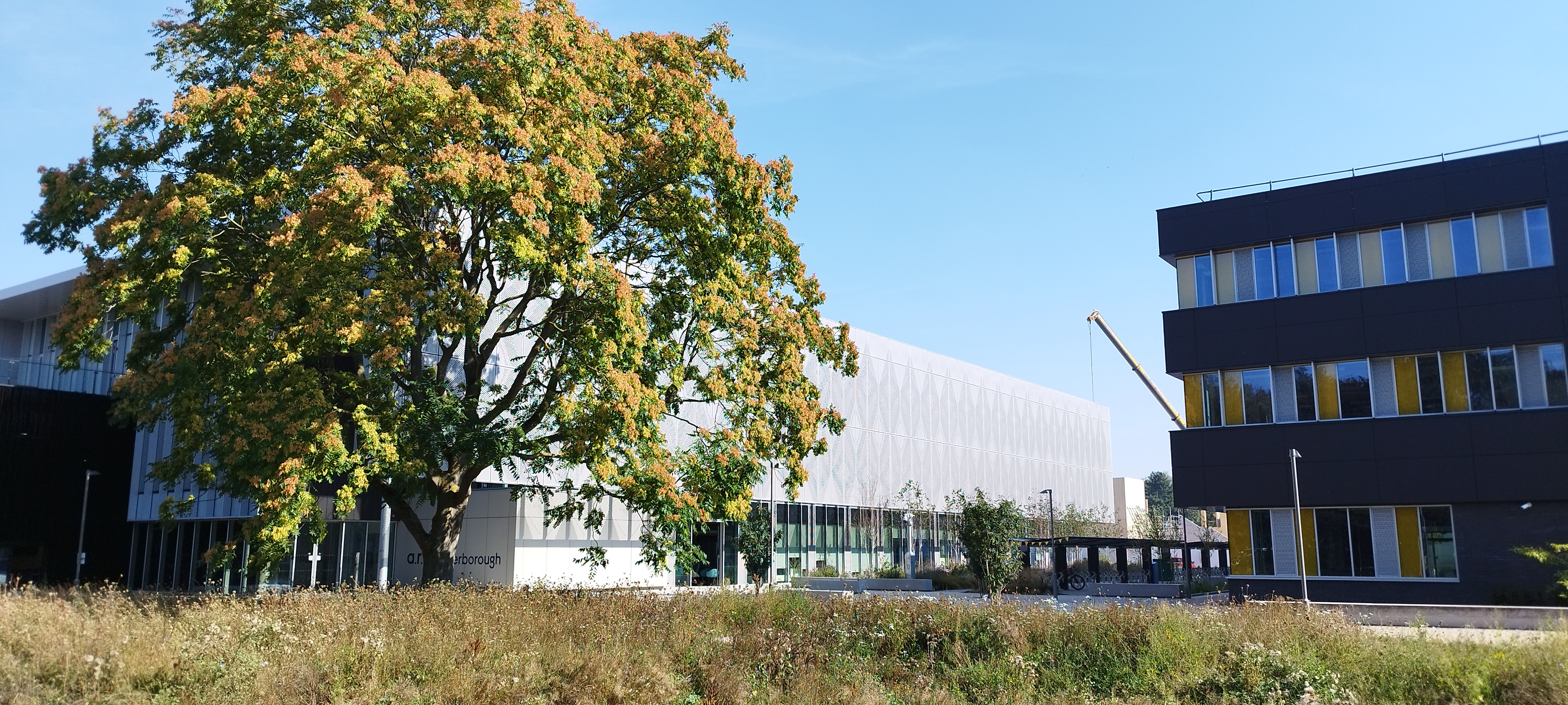 Anglia Ruskin University (ARU) in Peterborough