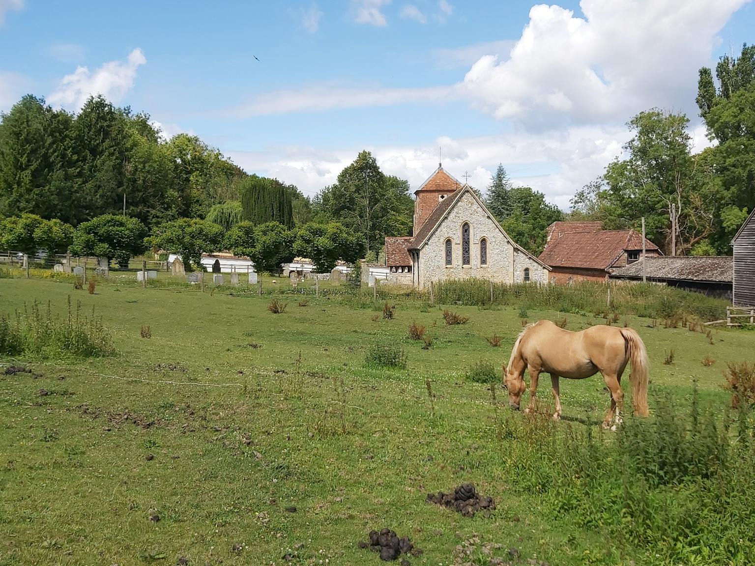 Horse and church