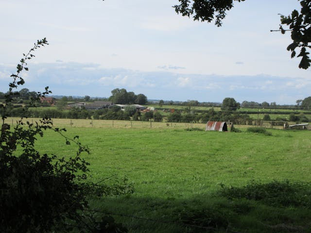 Agricultural field 