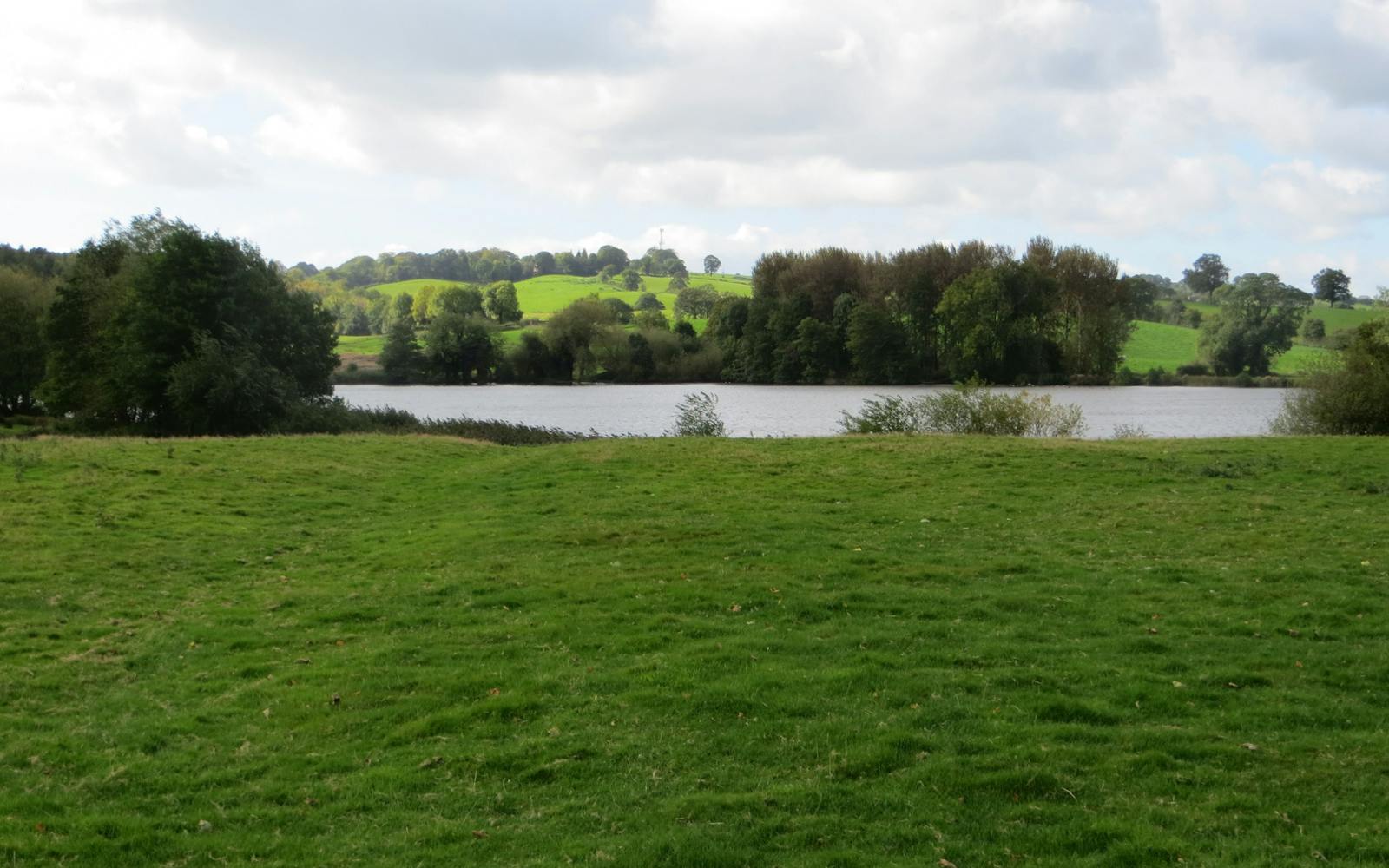 Field of grass and lake