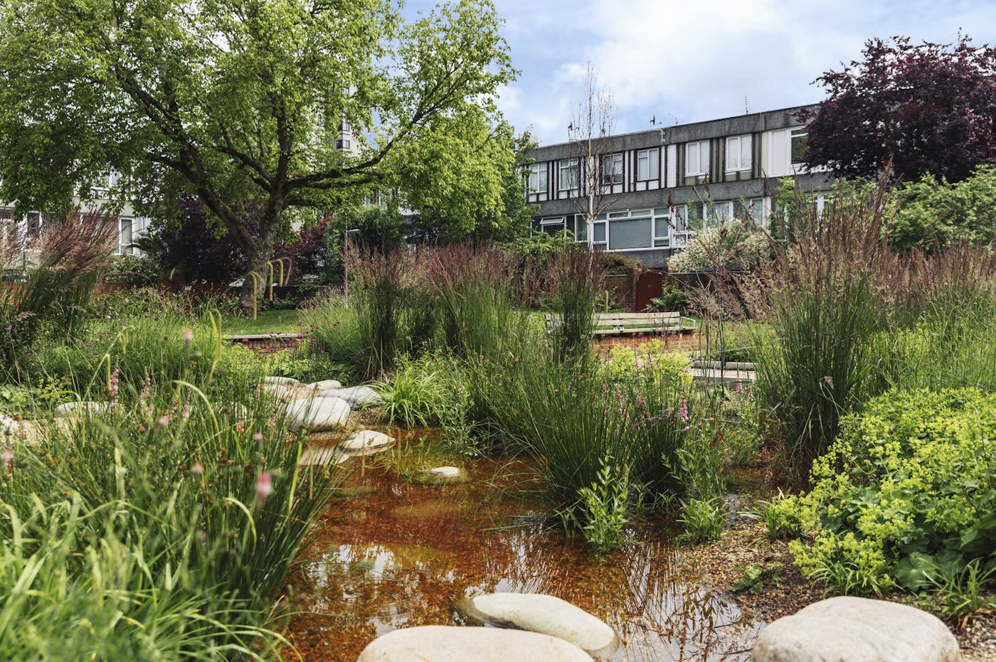 Garden with pond, trees and homes