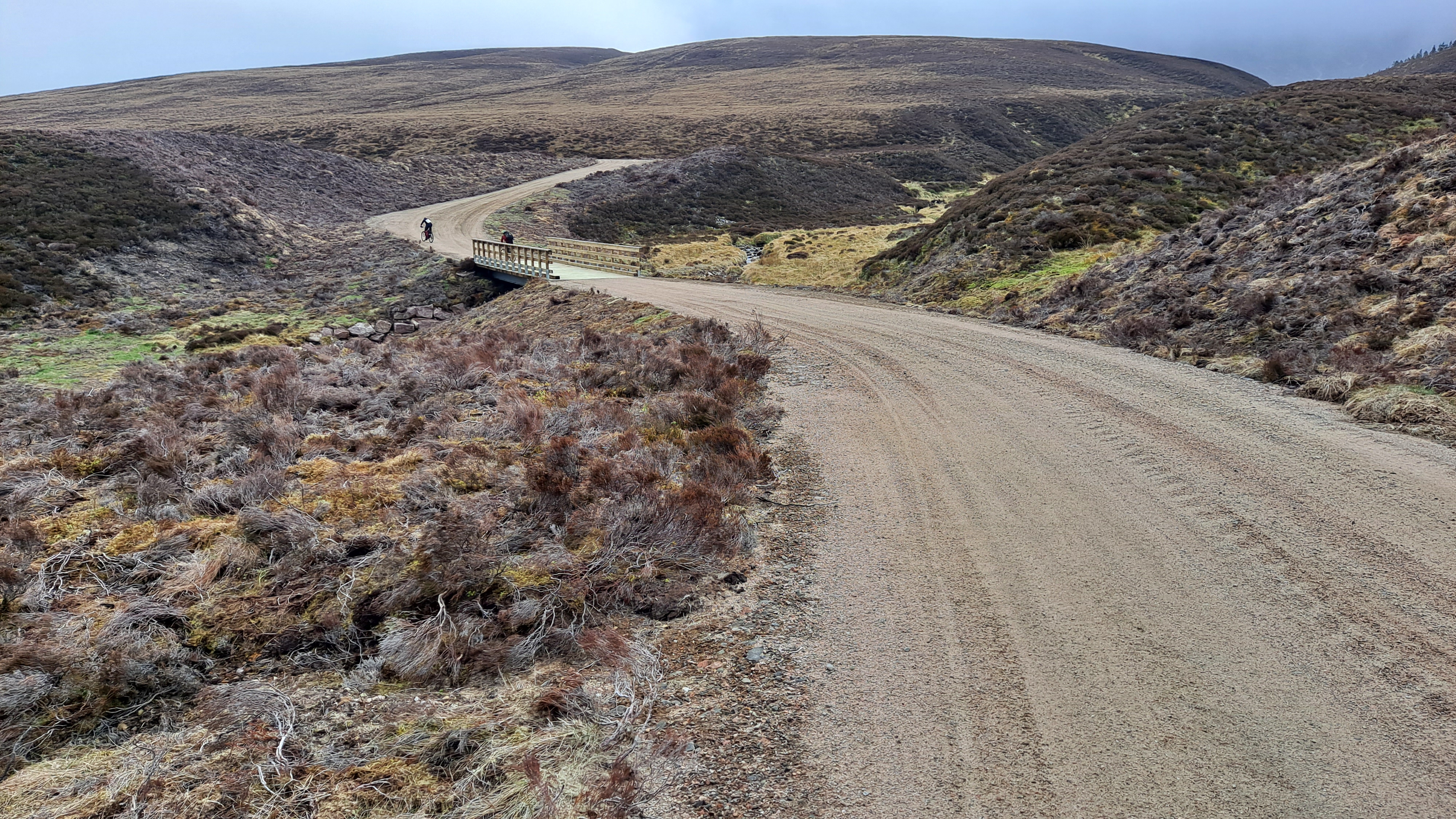 Road through a rural landscape 