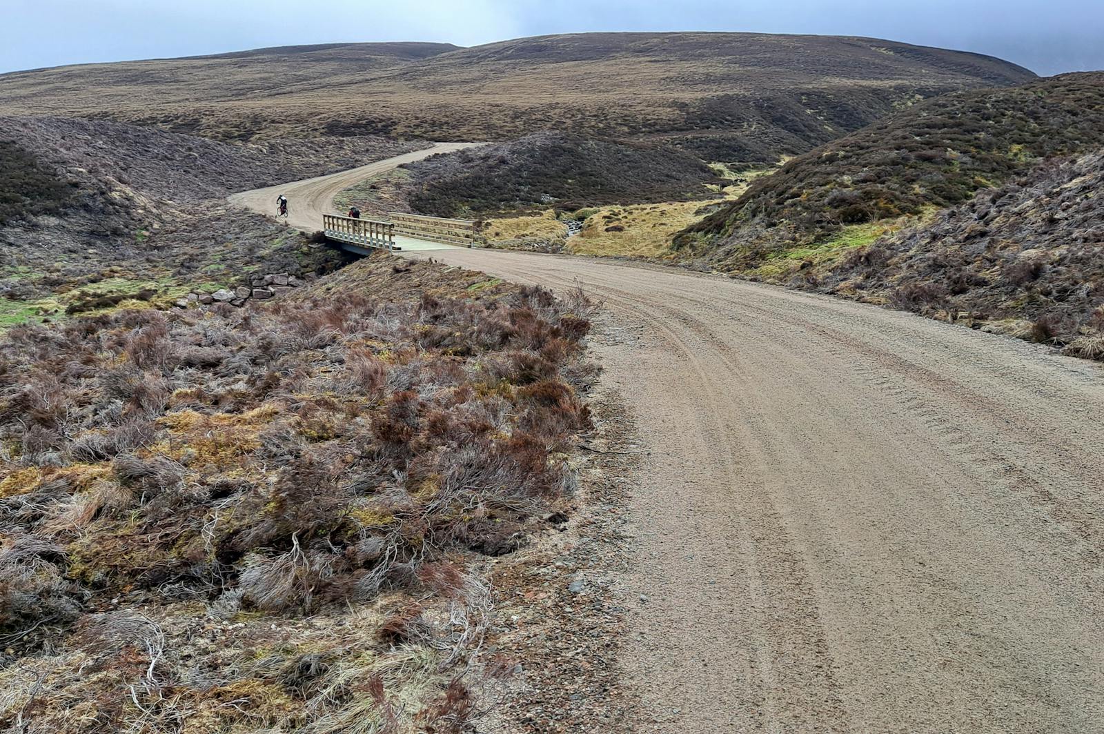 Road through a rural landscape 