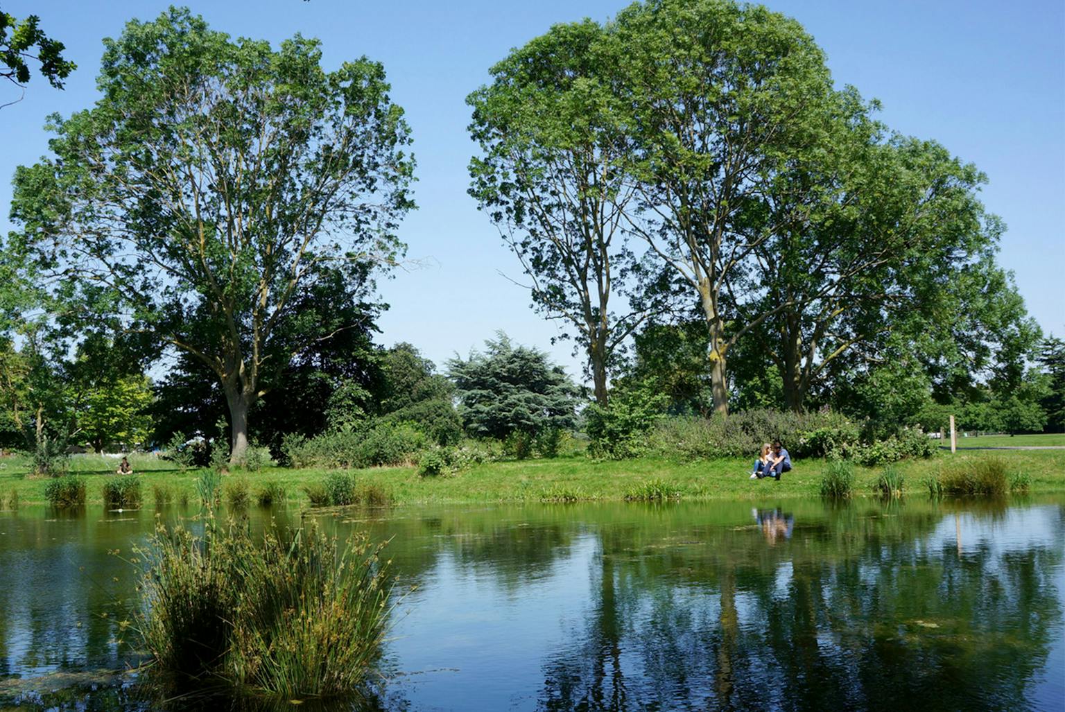 River running through parkland