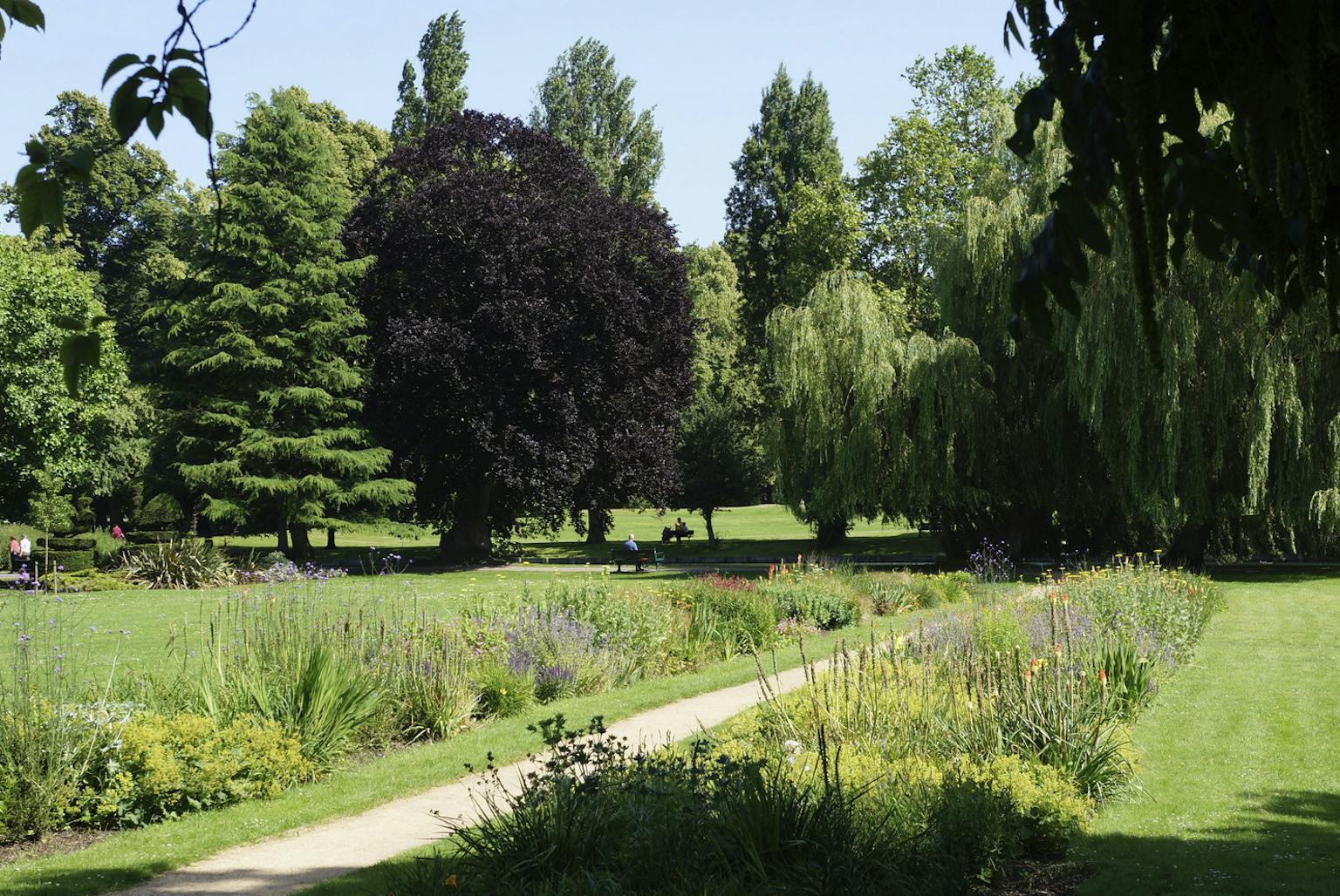 Path through park