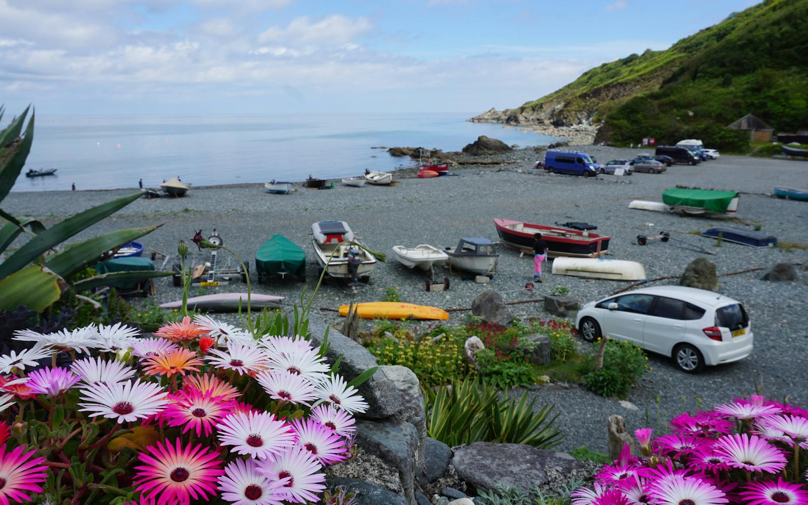 A beach with cars and flowers