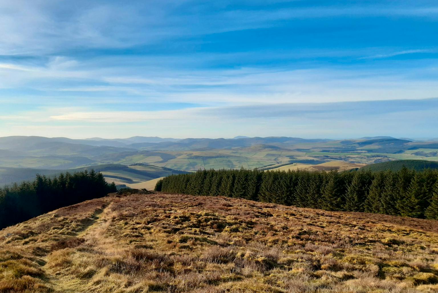 View from the top of a hill