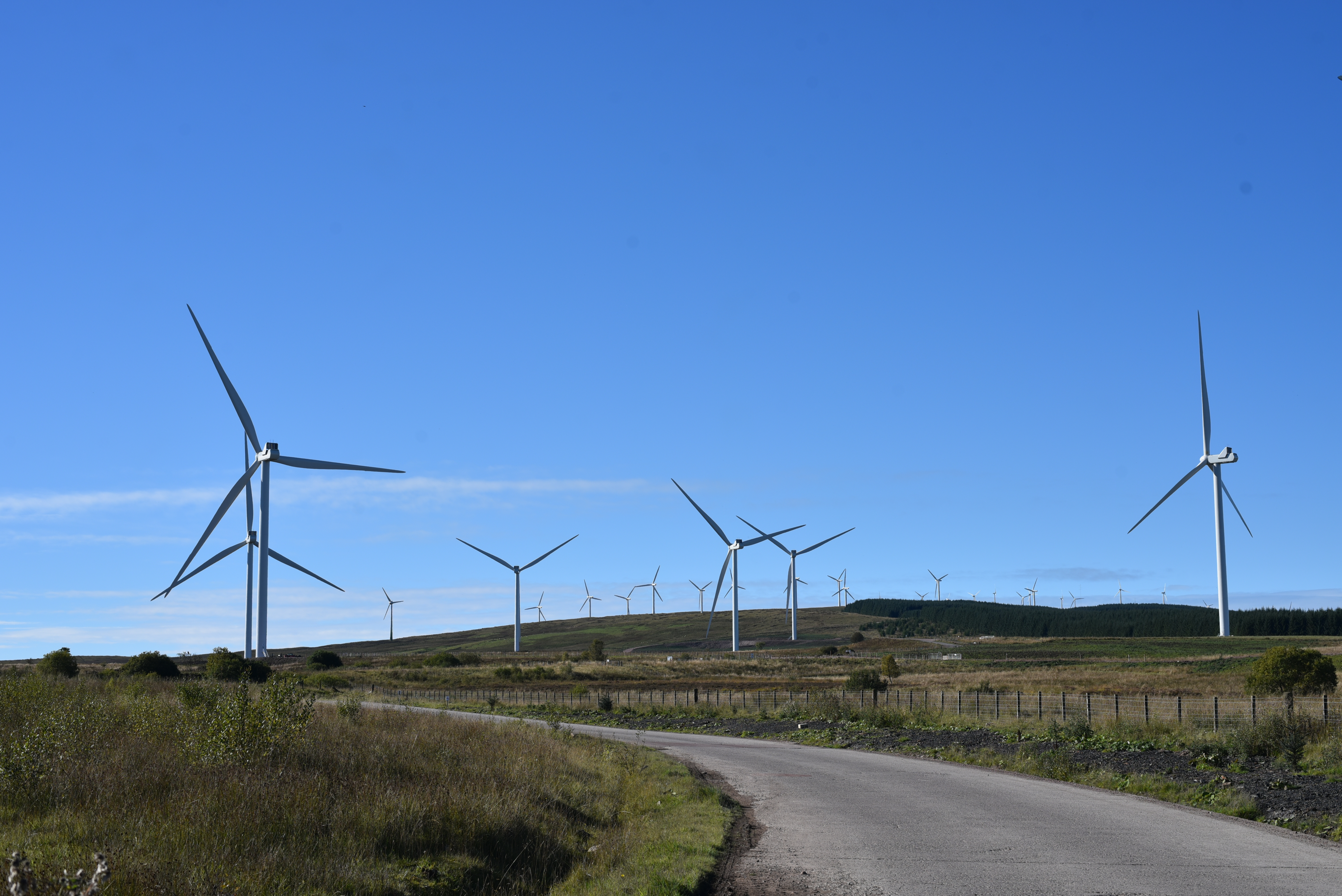 Wind turbines in a field