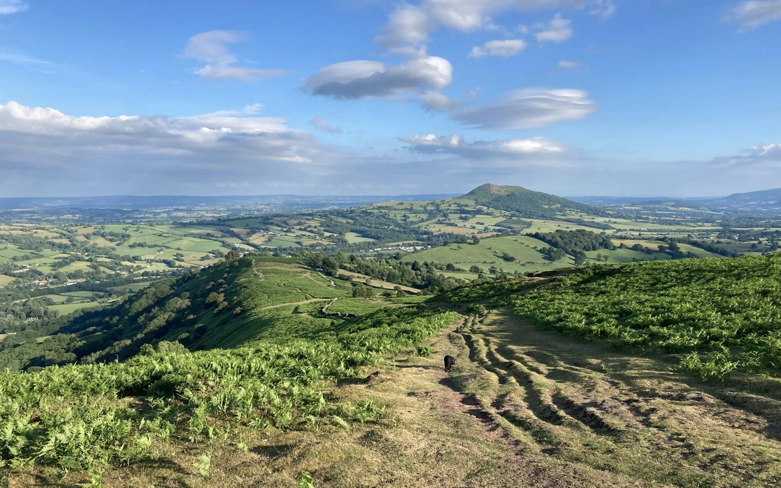 A breathtaking aerial view of rolling hills and valleys, captured from the top of a hill.