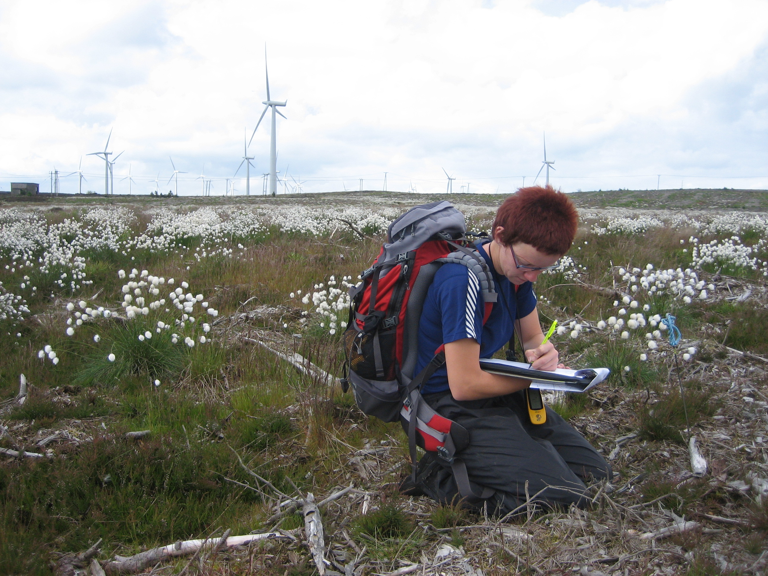 Ecological survey LUC