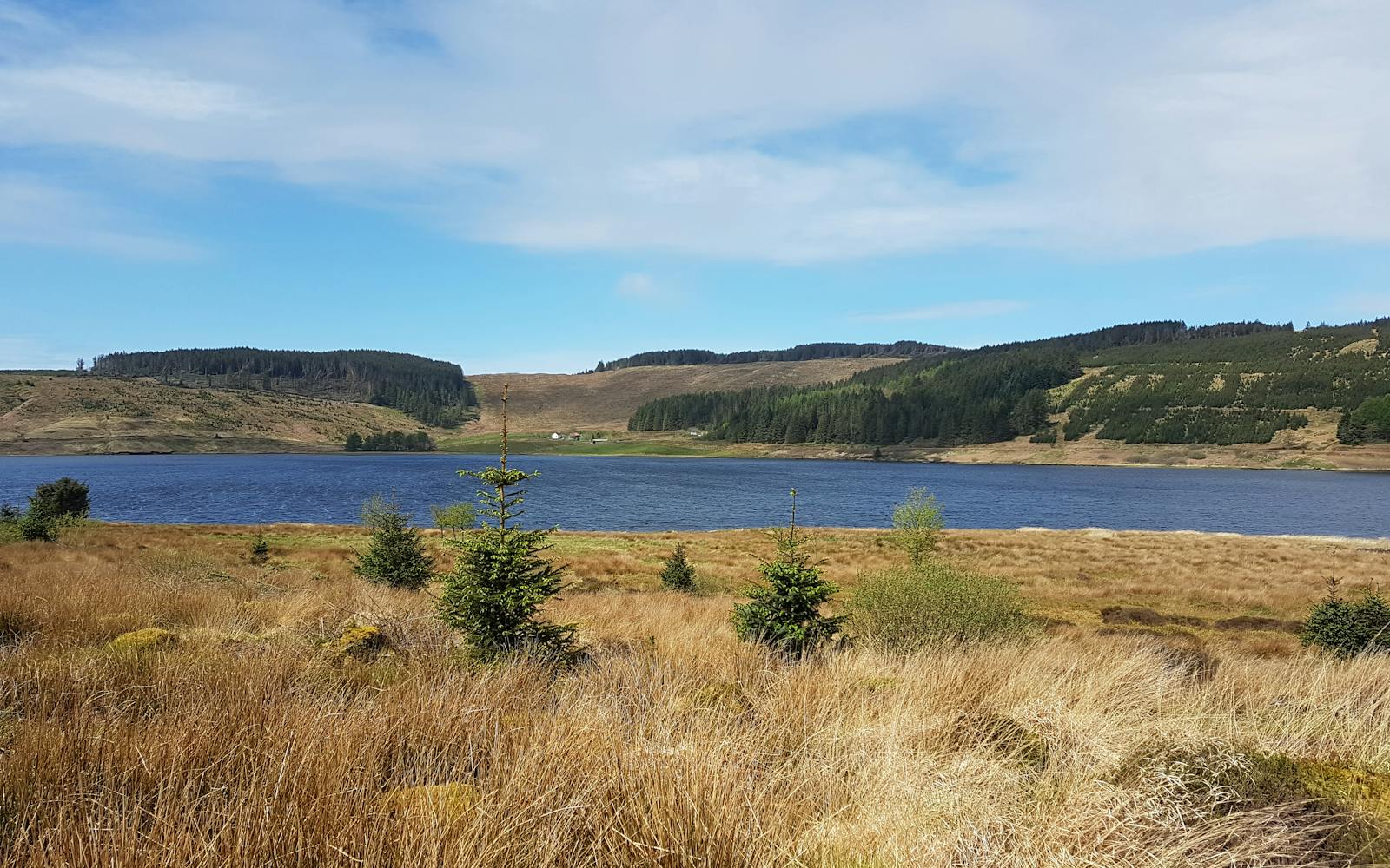 Heathland and river