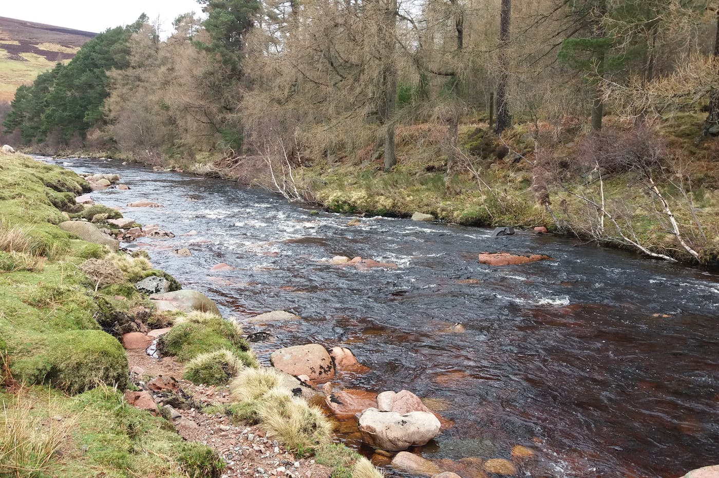 A stream in Aberdeenshire