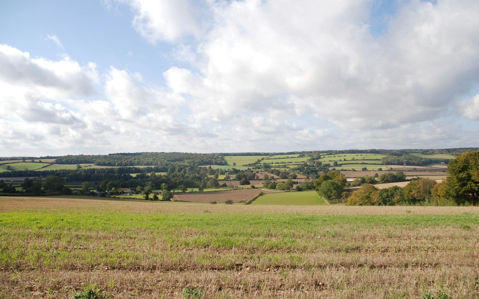 View over Chilterns 