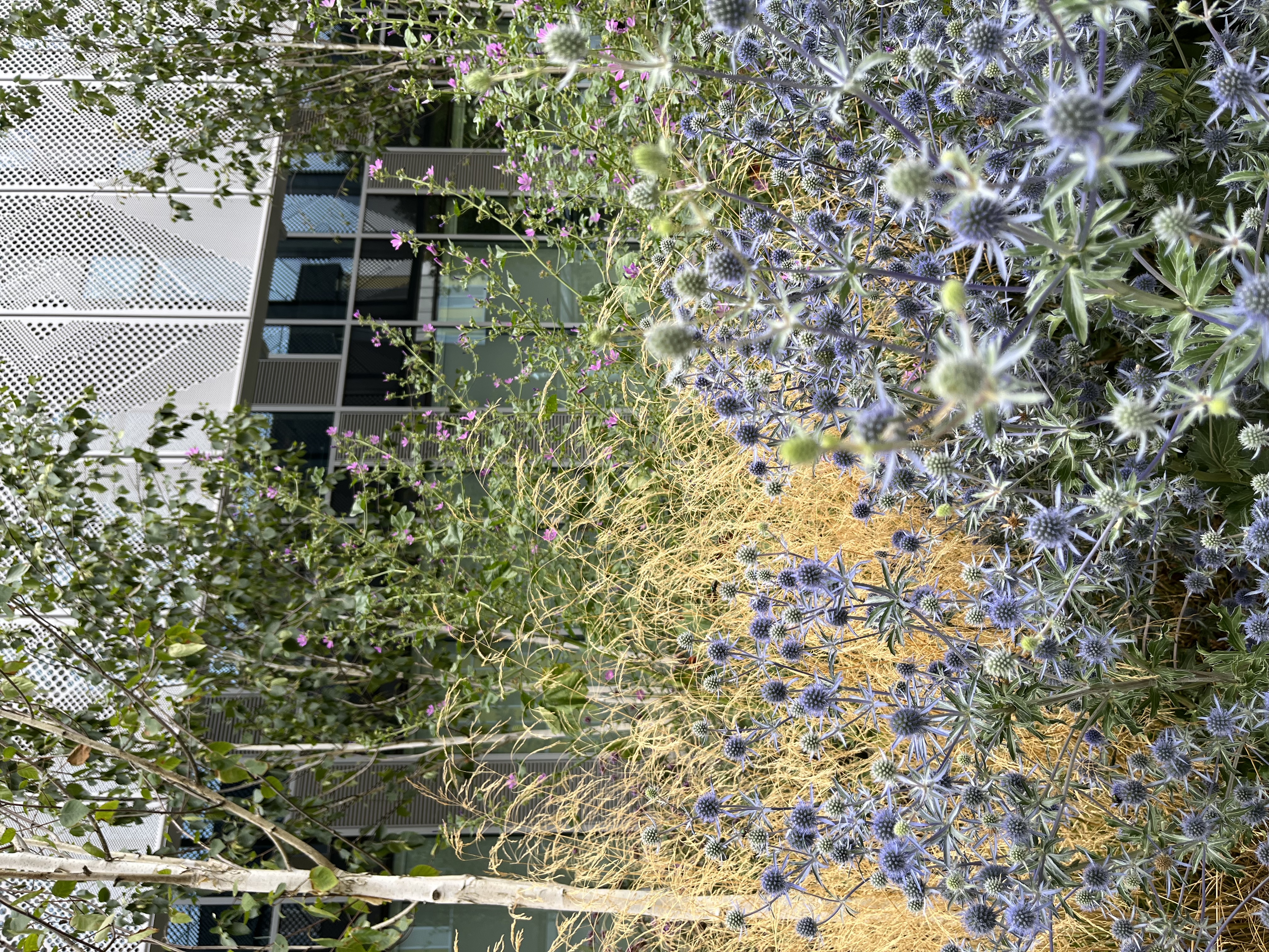 Anglia Ruskin University (ARU) in Peterborough