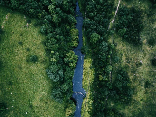 Aerial of landscape with stream