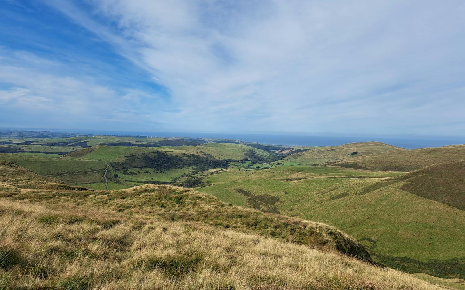 Blue sky, green landscape with wind farm in distance