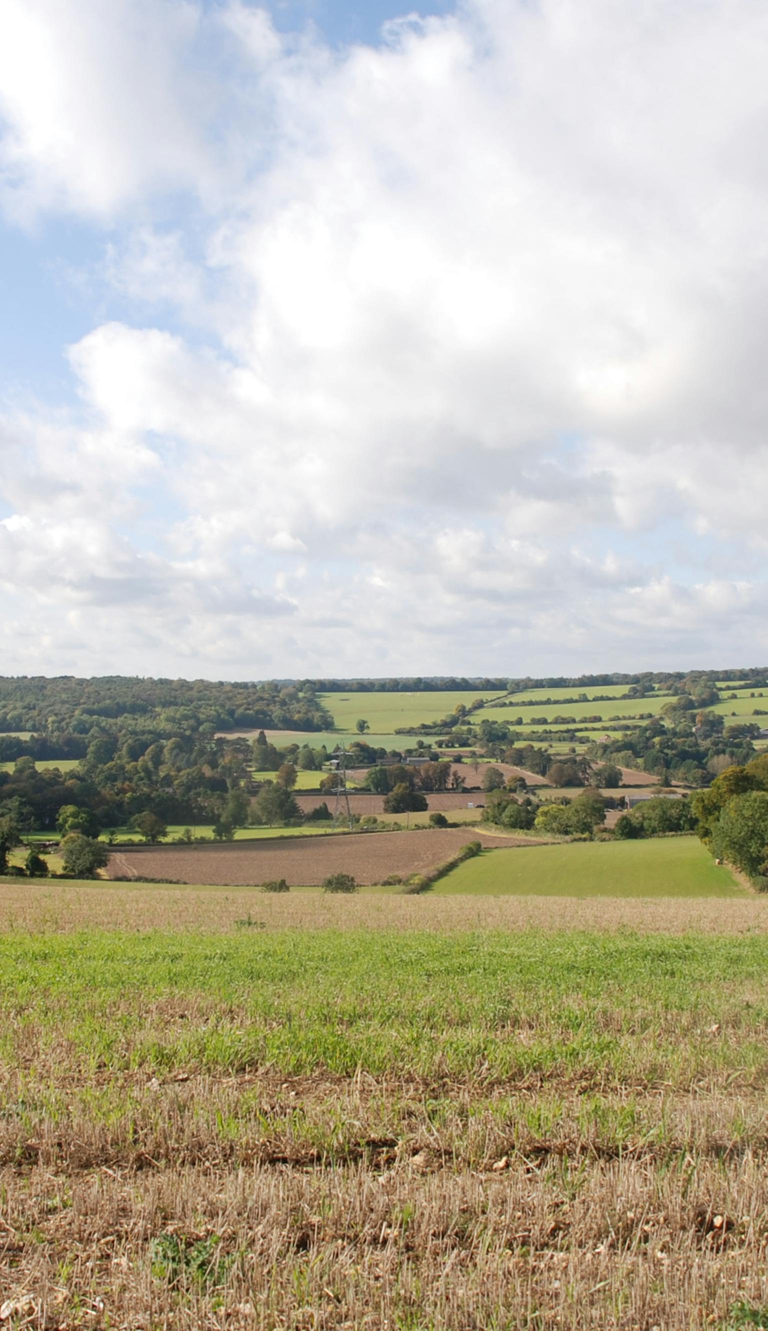 Chilterns