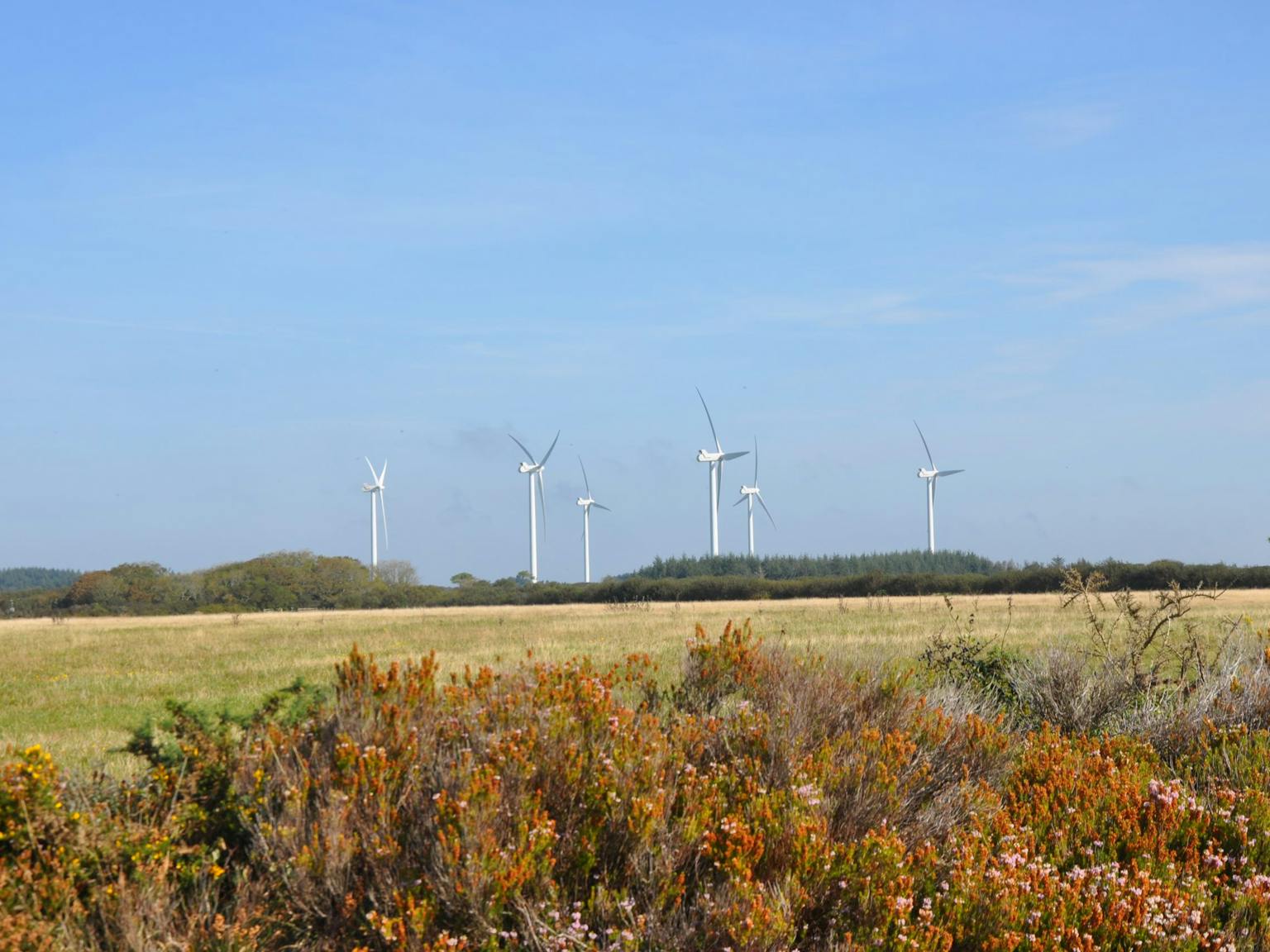 Wind farm