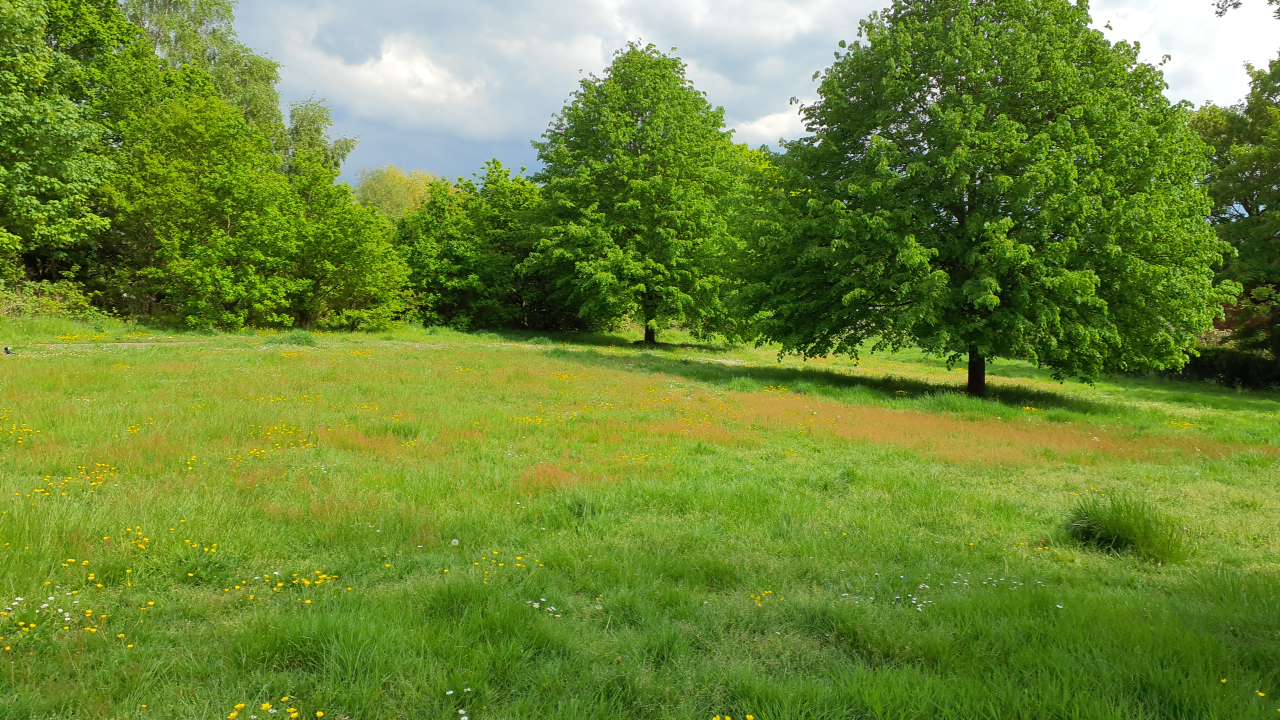 Poverest Recreation Ground