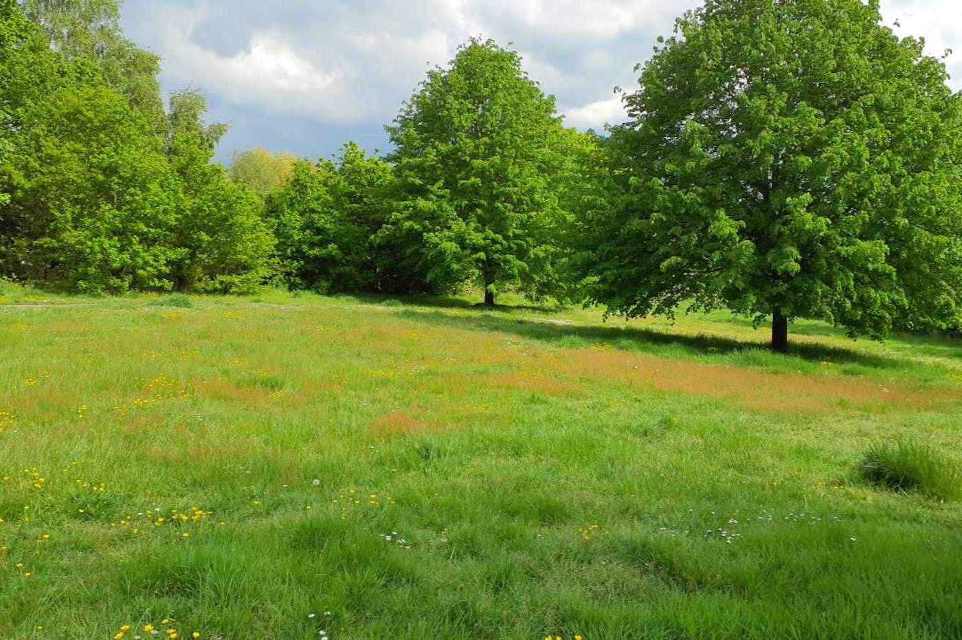 Poverest Recreation Ground