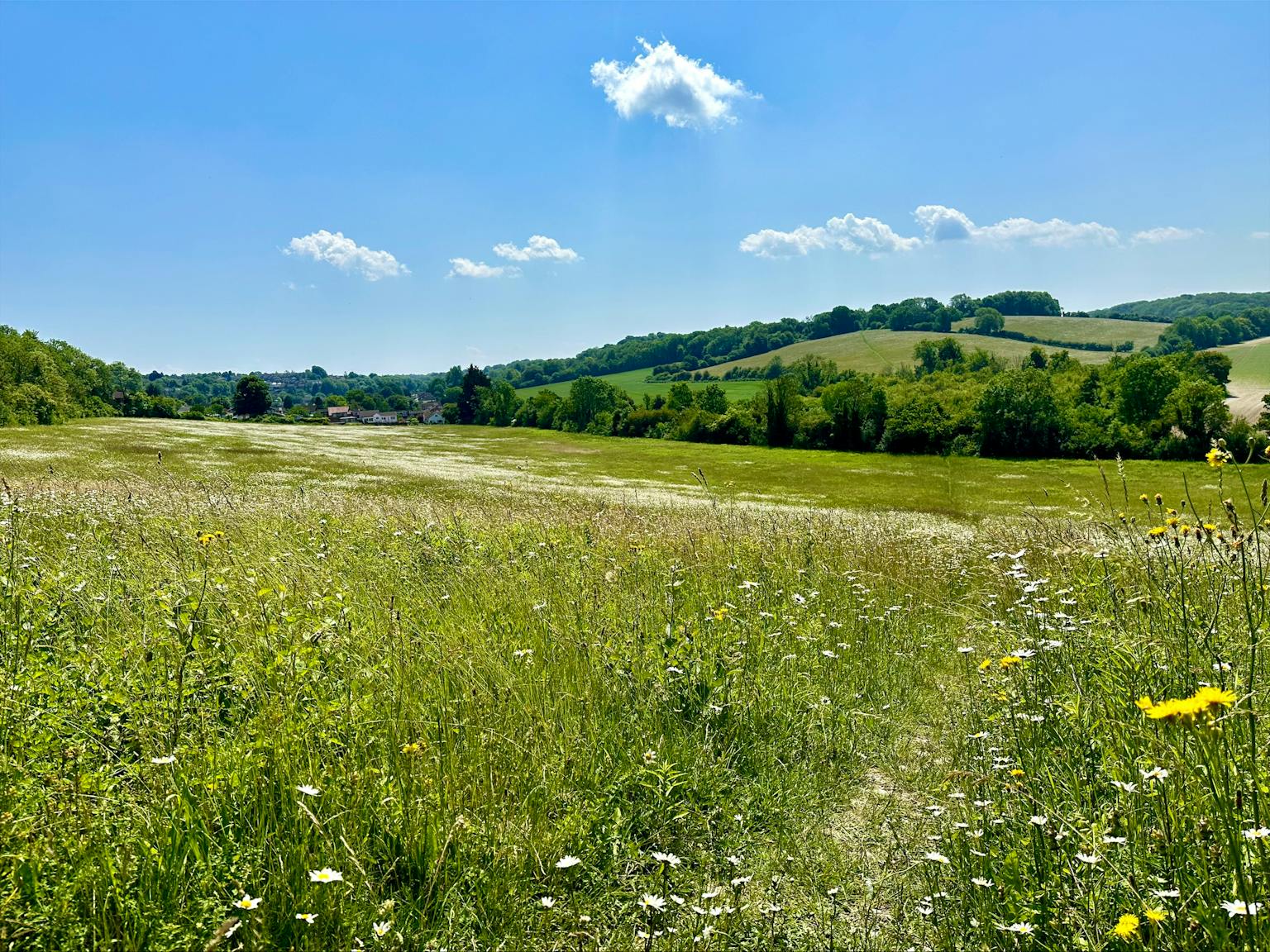 Hill and field