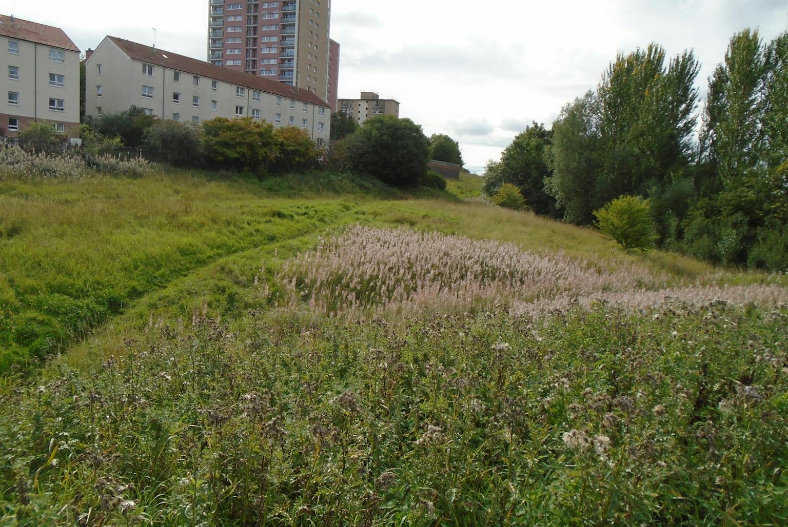 Site visit photo from before works commenced.
