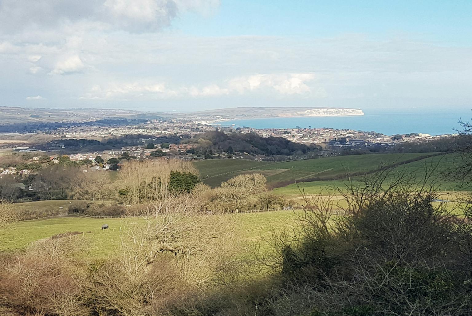 Isle of Wight Settlement Coalescence Study