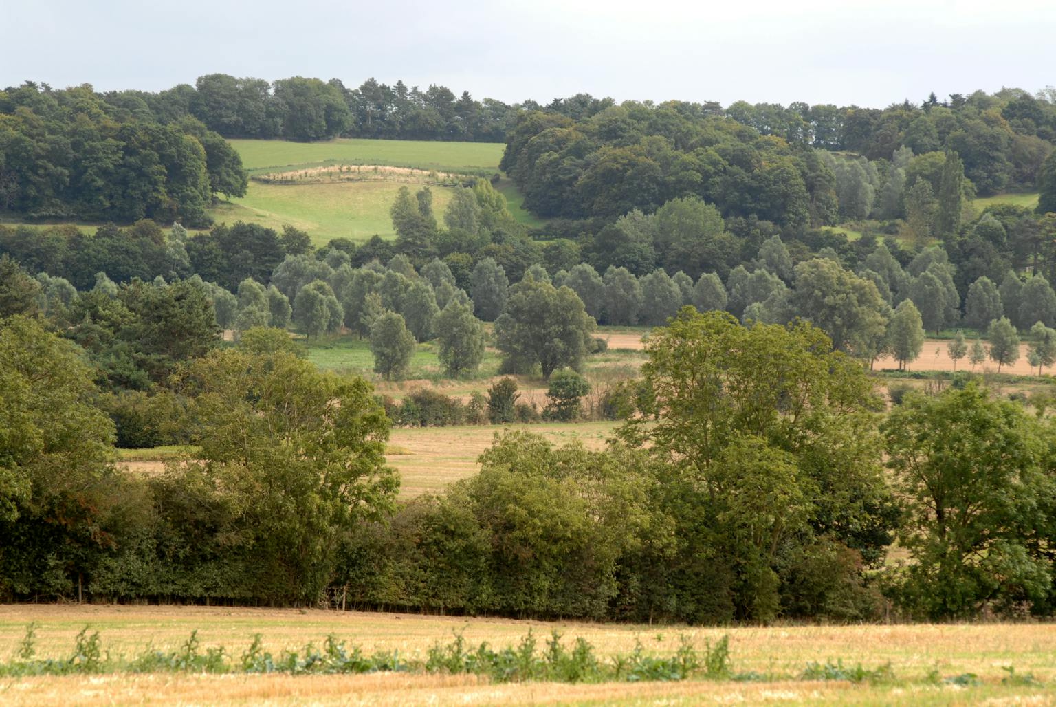 State of the AONB Reports for Dedham Vale and Suffolk Coast and Heaths AONBs published