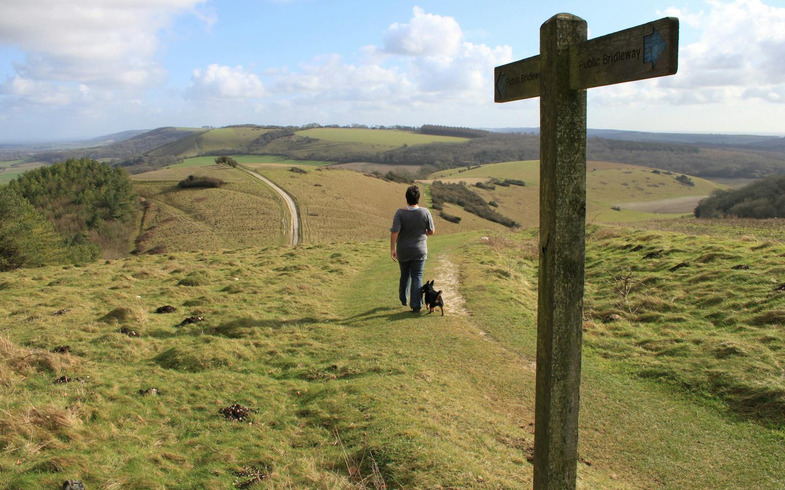 A person walking a dog through a British landscape