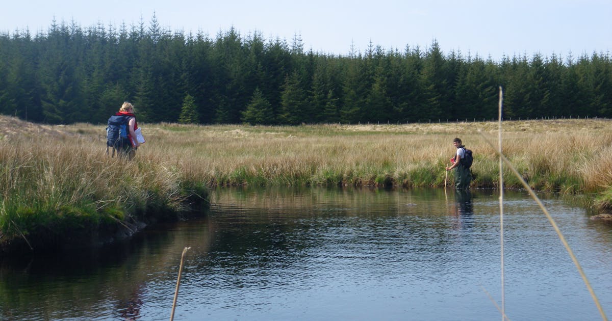 LUC publishes Ecological Survey and Mitigation Calendar LUC