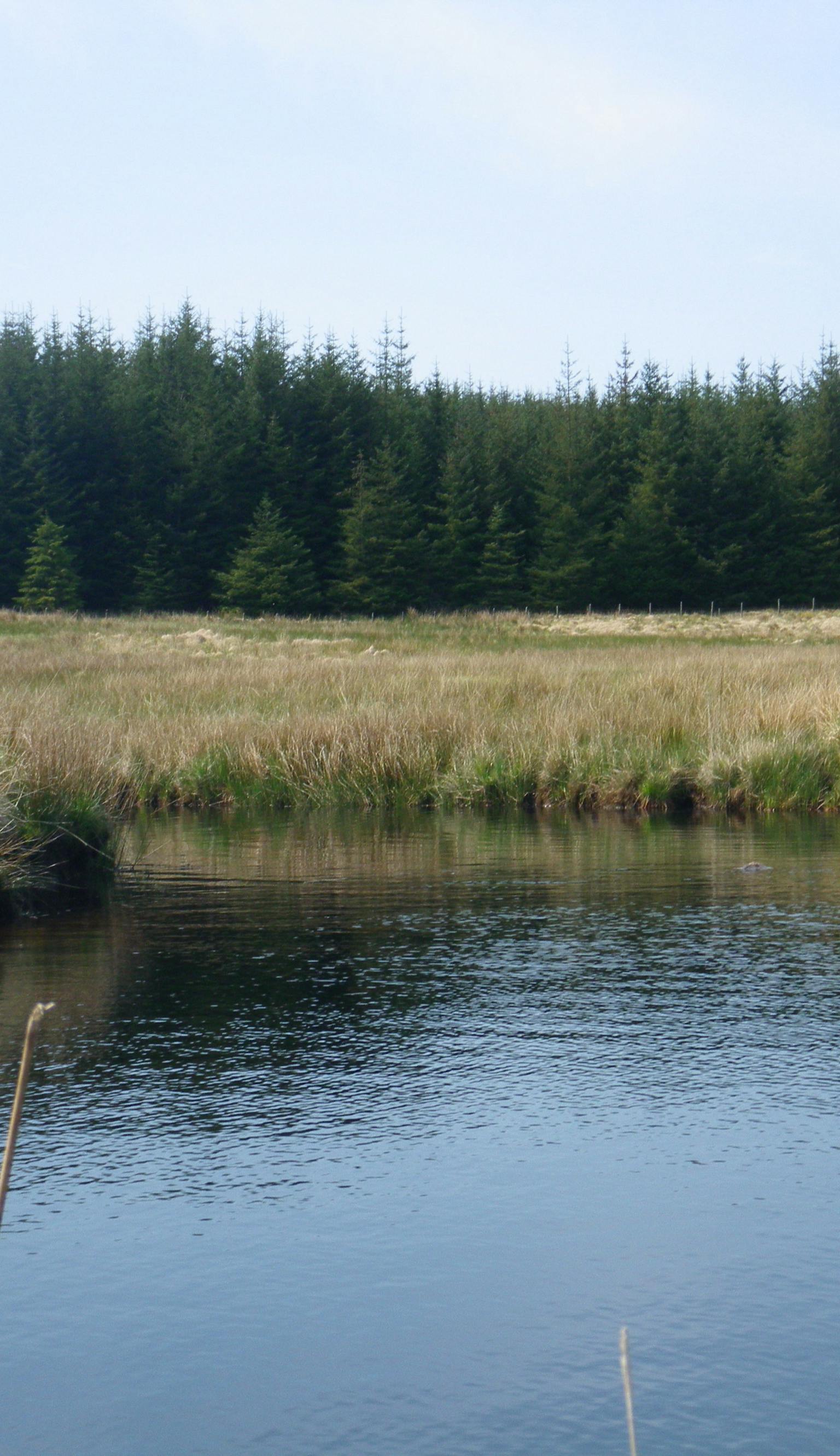 LUC publishes Ecological Survey and Mitigation Calendar LUC