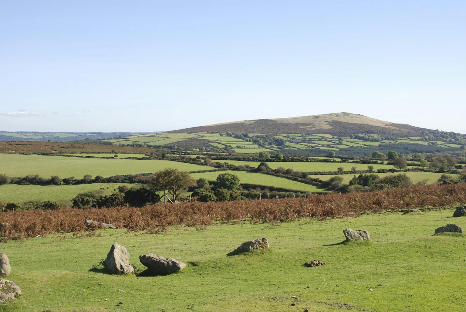 Environment Land Management Scheme – Beauty