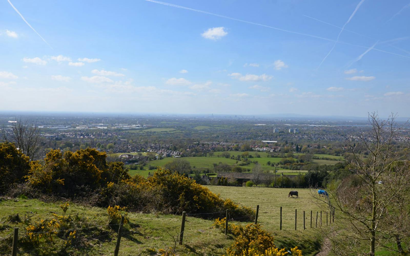 Manchester Green Belt land