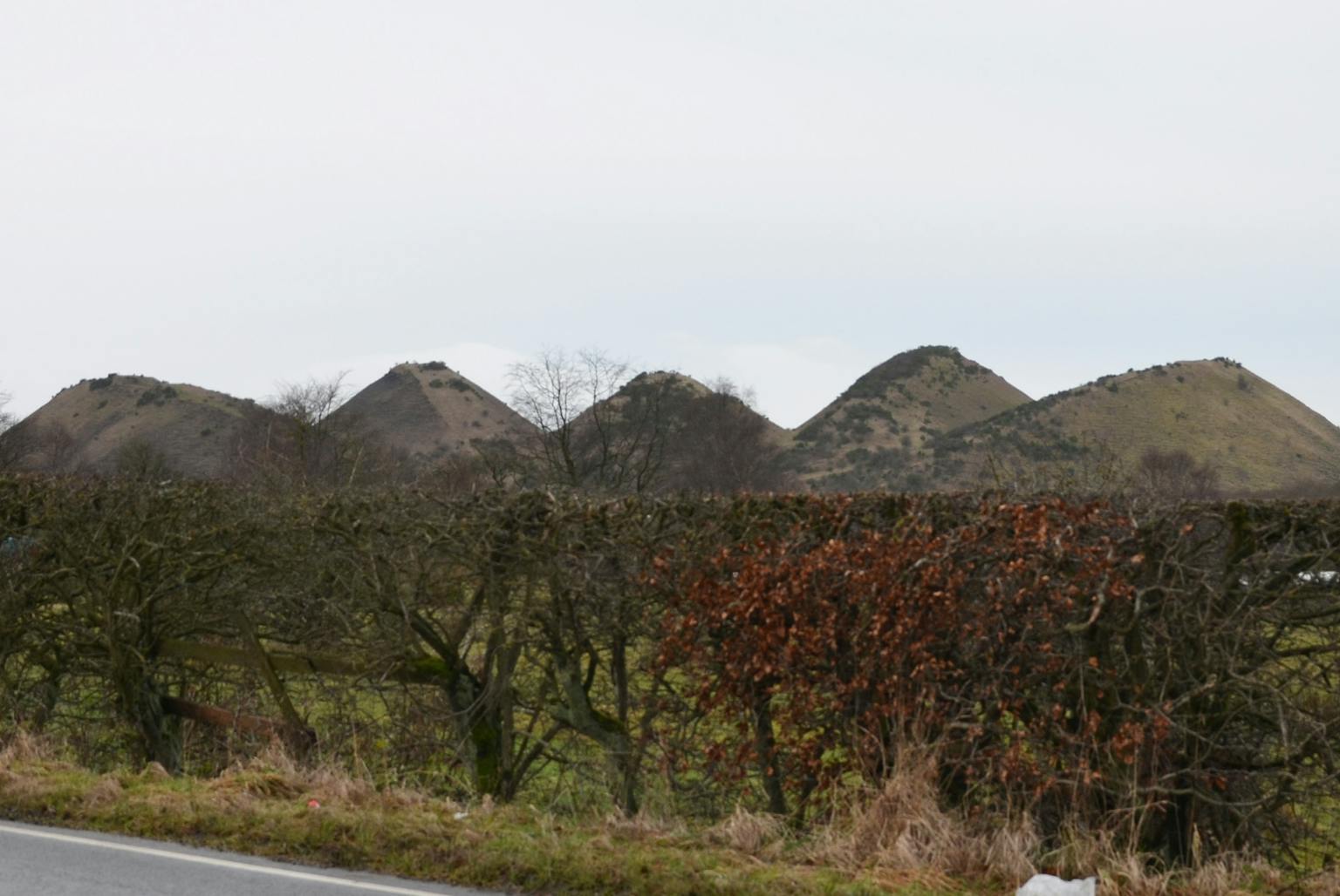 LUC appointed to support Gavieside masterplan and planning application