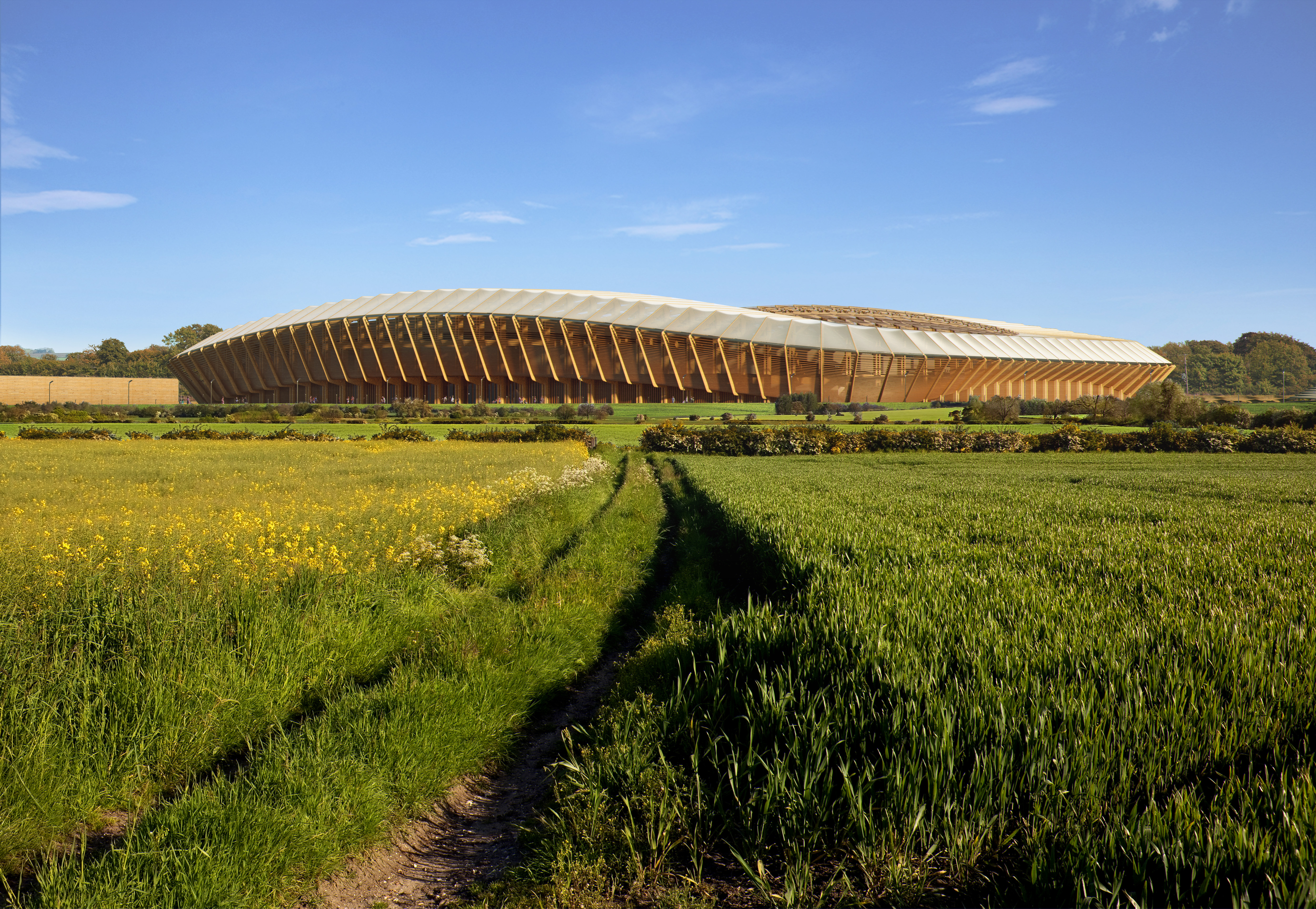 Forest store green stadium