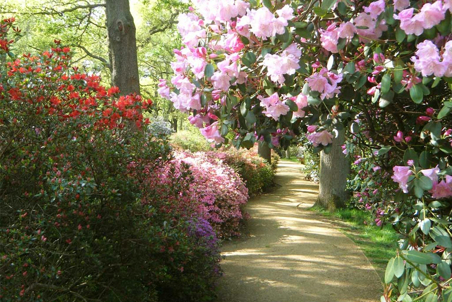 The Isabella Plantation