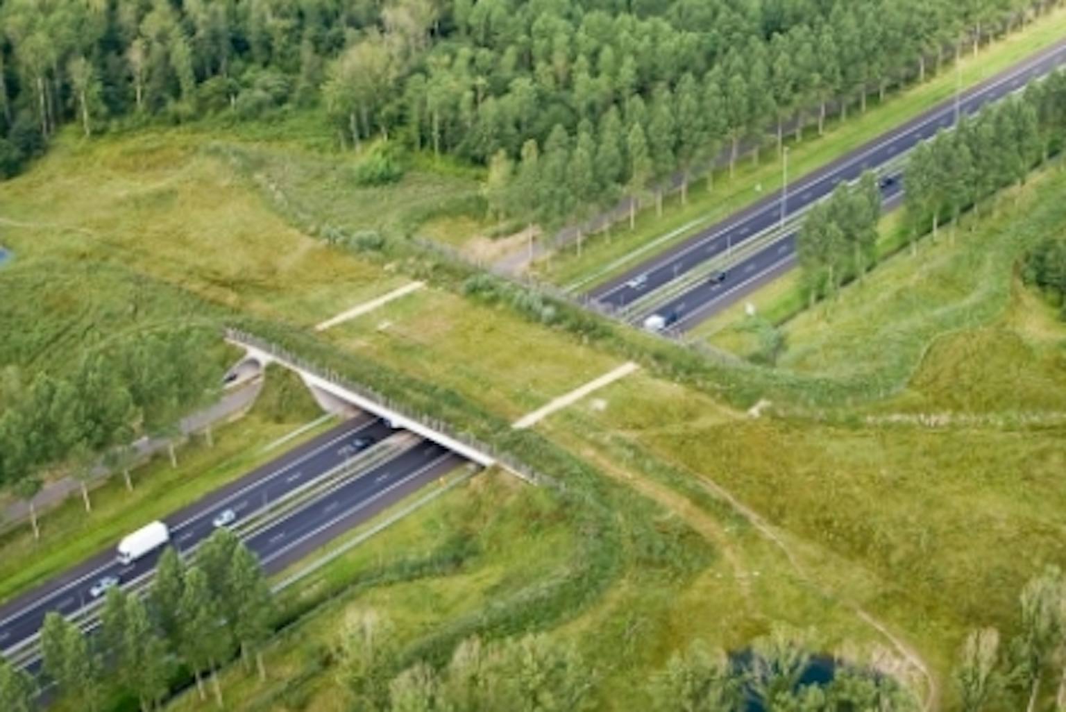 Groene woud A2 Green bridge