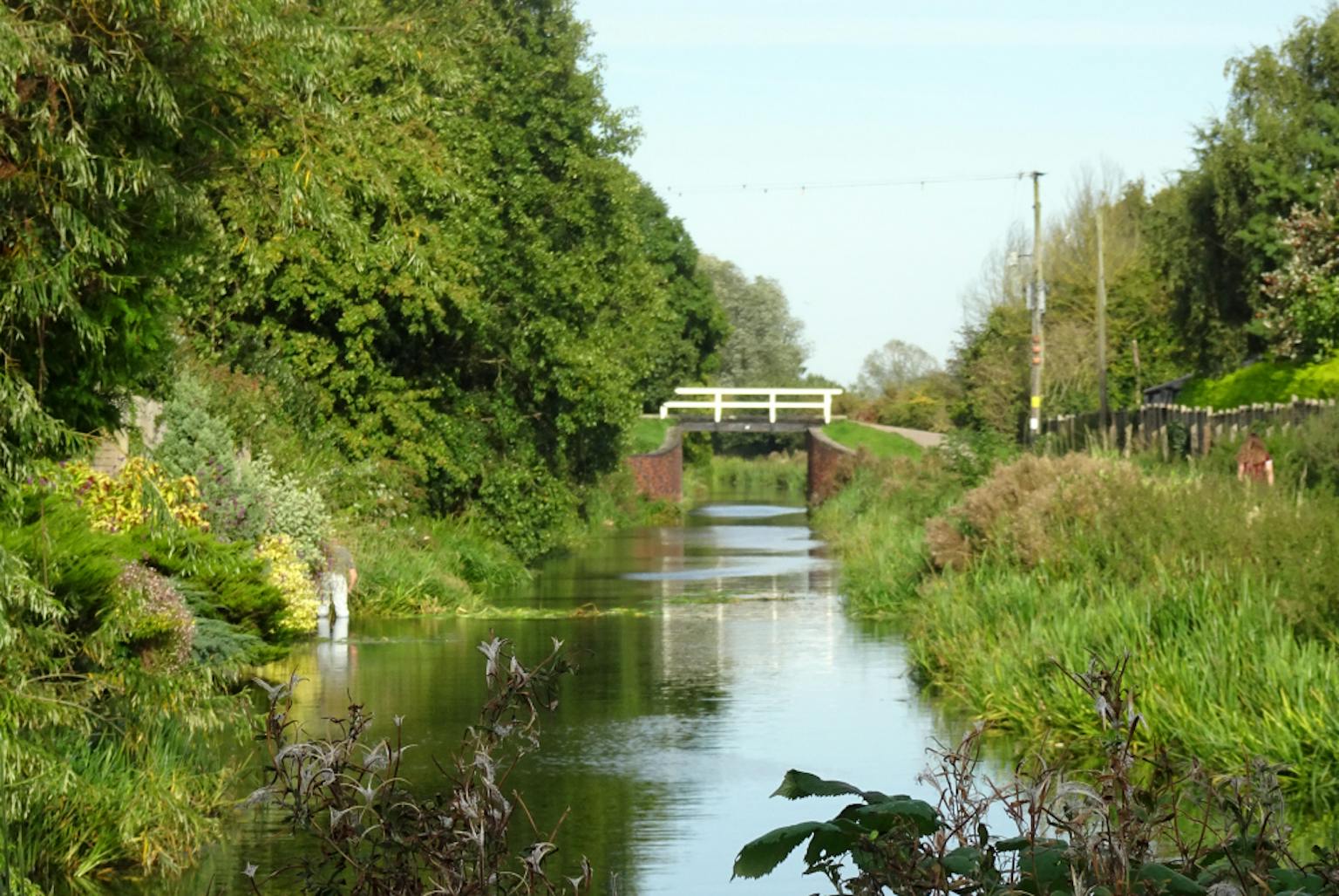 Taunton Deane Green Infrastructure Strategy