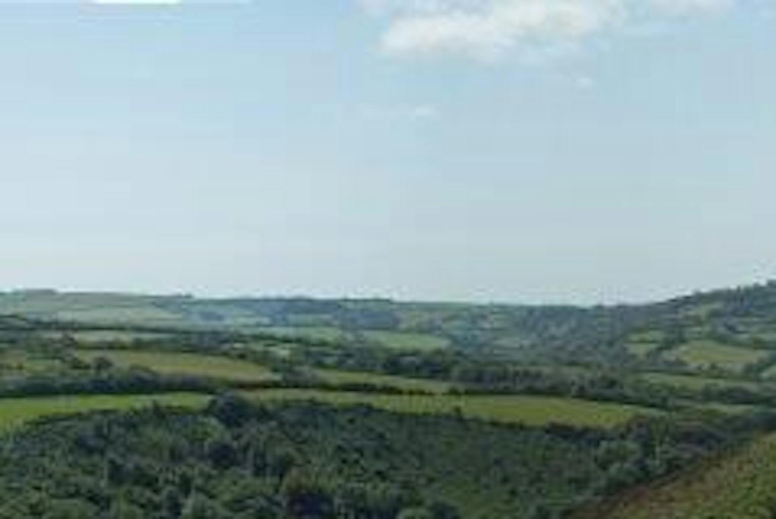 woodland and tree planting scenarios on Exmoor